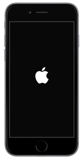 Не включается iPhone. На экране горит яблоко.